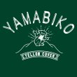 画像2: ヤマビコTシャツ（緑） (2)